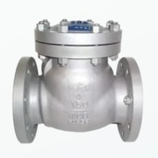 Check Valve