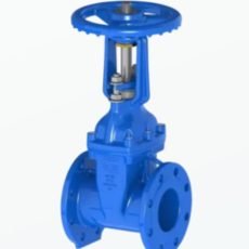 Gate Valve